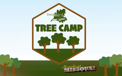 Attention 5th and 6th Graders – Join Forest ReLeaf for Tree Camp this August!