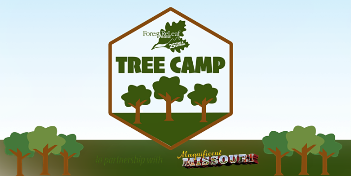 Attention 5th and 6th Graders – Join Forest ReLeaf for Tree Camp this August!