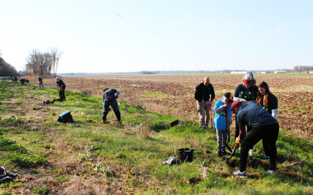 Planting the Next Generation of Trees