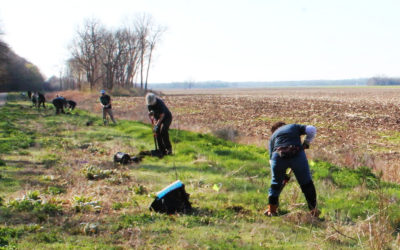 Planting the Next Generation of Trees