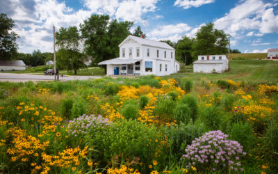 Peers Prairie at America’s Longest State Park Is Not Just for the Birds (and Birdwatchers)