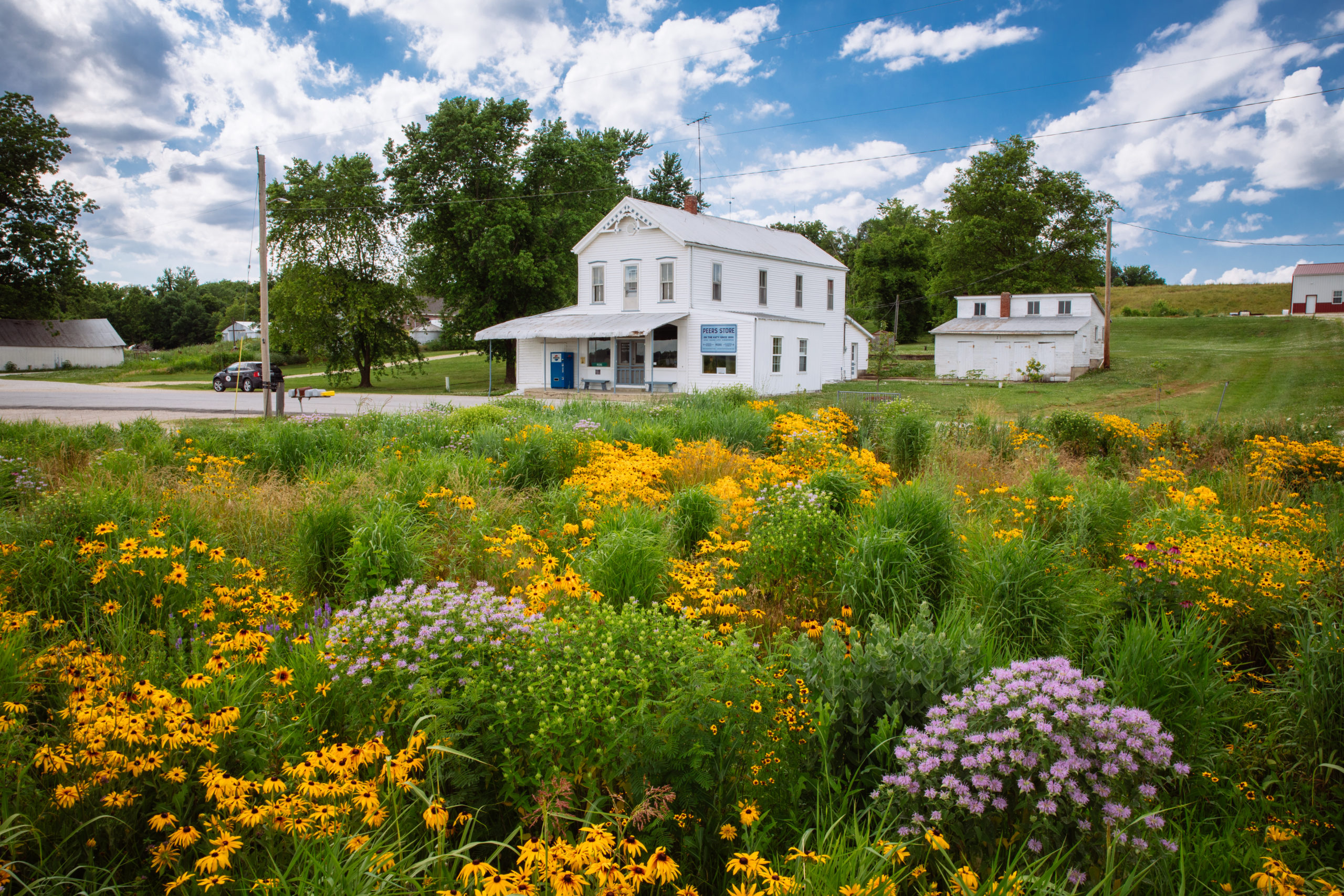 Peers Prairie at America’s Longest State Park Is Not Just for the Birds