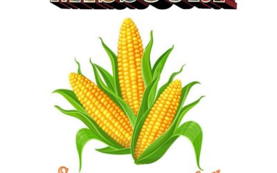 Sweet Corn Sunday Celebration 2022 on Sunday, 8/14