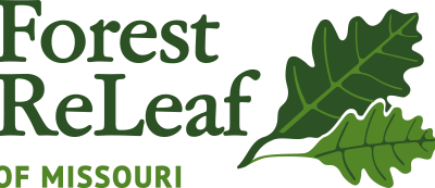 Forest ReLeaf Hosts Tree Camp!