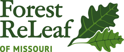 Forest ReLeaf Hosts Tree Camp!