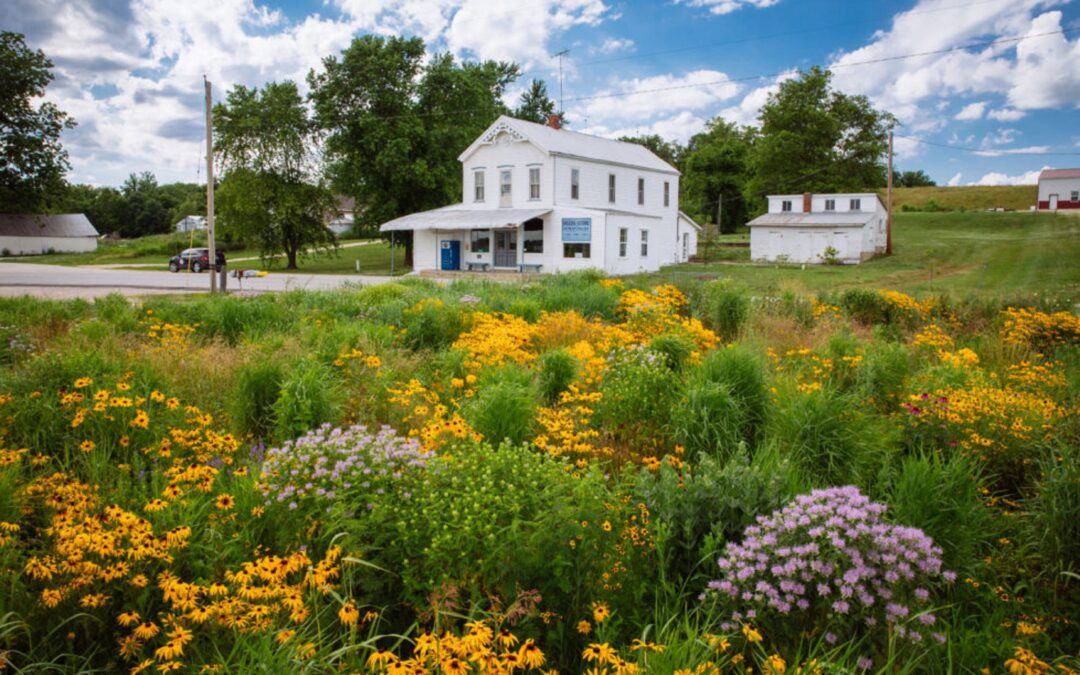 Peers Store Pollinator Garden of Excellence