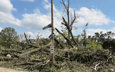 Help Restore Fountain Park After the Devastating Tornado