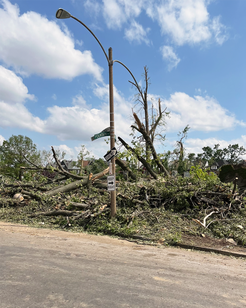 Fountain Park after the tornado